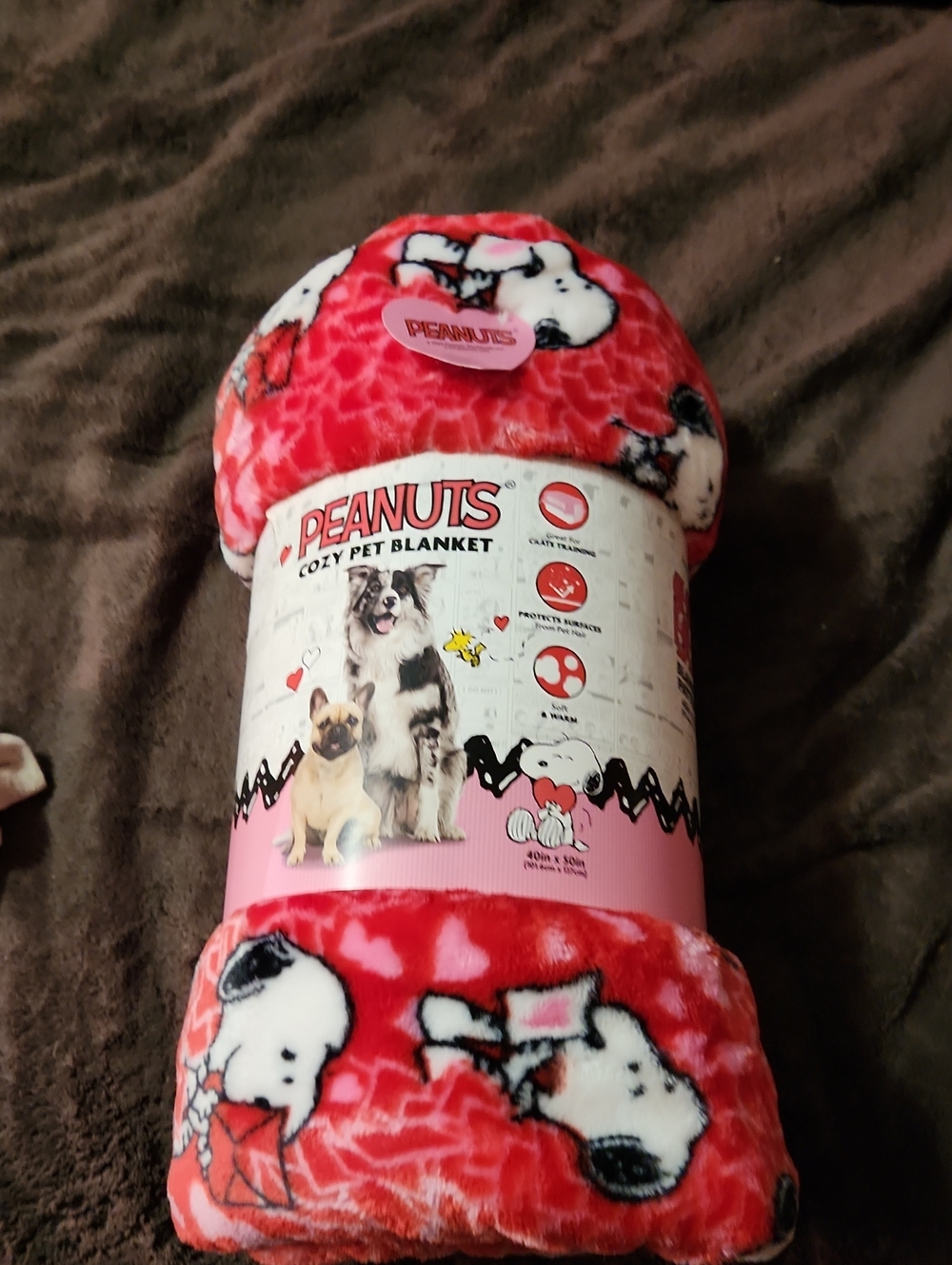 Peanuts Red Snoopy Plush Pet Blanket